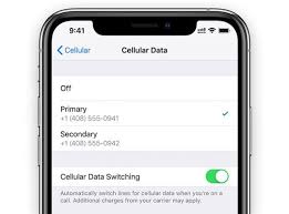 Tap settings. if your iphone will not power on, you can eject the side sim tray using a sim tool or a push pin to get your sim card number (iccid). How To Use Dual Sim And Esim On Iphone 11 Xr Se Xs Appletoolbox