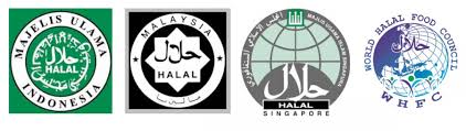 Vector abstract geometric islamic background. Certification Of Halal Products