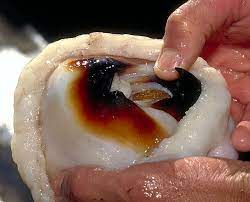 Though they usually prefer deep water, between 1,000 and 1,500 squid washed up on the long beach peninsula in. Ratsel Um Riesenkalmar Gelost Natur Derstandard At Wissenschaft
