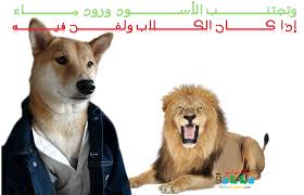قال لي أبي وتجتنب الأسود ورود ماء