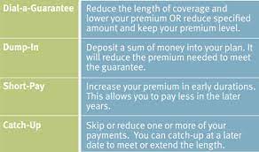 Mass Mutual Guaranteed Universal Life Policy Not In Our Top 10