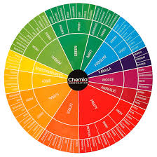 Chemia Fragrance Wheel Essential Oil Perfume Perfume