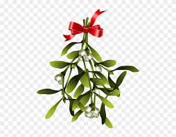 Christmas Wish Mistletoe Clipart 1016526 Pikpng It will make a nice fresh christmas wall decor. christmas wish mistletoe clipart