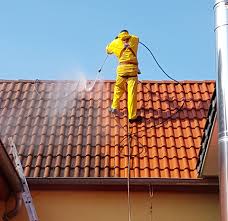 Dachreinigung Ohne Chemie Reinigung Dach Rhein Neckar