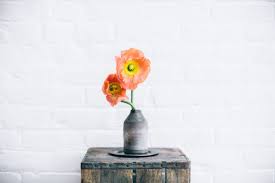 Make your enquiry today 0406852350 or browse our online store. The Poppy Flower A Pretty Meaningful Little Bloom Tesselaar Flowers