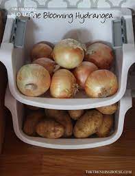 Rip them to 8 7/8; 14 Fruit And Vegetable Storage Ideas To Make Your Kitchen A Whole Lot More Organized The Trending House