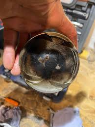 Let's welcome our new members! Cobi Woolfham, Troy Bakker, Dama Hakamada,  Matthew Moose, Max Laster, Lando Holombo, Matthew Haydon, Travis Stanger,  Hampus Engström, Robert Franz, RJ Dai, Christopher Daniel, Elian Mendez  Gonzalez,