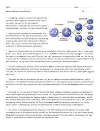 Cell division and mitosis worksheet. Cell Division Reading Comprehension Worksheet Mitosis And Meiosis Science Answer Key Mitosis And Meiosis Lesson Plan A Complete Science Lesson Using The 5e Method Of Instruction Kesler Science Gcse Science