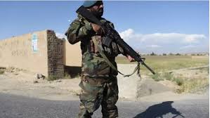Taleban dooda (living lavish) unreleased. Taleban Raids On Afghan Security Posts Kill 18 Informal Newz Gulf