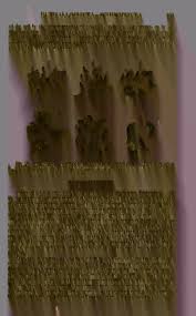 Image result for Erythrocephalum decipiens