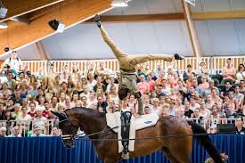 Les infos, chiffres, immobilier, hotels & le mag. Lambert Leclezio Sacre Champion D Europe De Voltige La France Remporte La Coupe Des Nations Et Le Bronze Par Equipe Haut Niveau Disciplines Fei Accueil Sites Ffe Portail Ffe