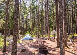 You may want to book soon. Acadia National Park Camping Guide James Kaiser