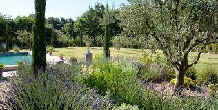 jardin prive provencal saint cannat 13 architecte paysagiste thomas gentilini creation et amenagement jardin mediterraneen jardins architecte paysagiste