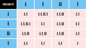 Image result for Blood Type