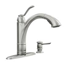 moen walden single handle pull out