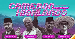 Besides that, it is also advisable to visit at cameron highlands on weekend night. Pilihanraya Kecil Cameron Highlands 26 Januari 2019 Malaysiakini Laporan Langsung