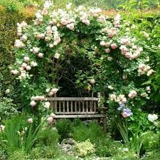 Weisse Rosen Kletterpflanzen Gemutliche Sitzecke Holz Gartenbank Garten Pflanzen Gartenecke Garten