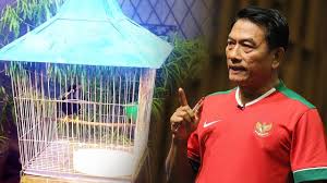 Tangkringan asem bali pasir hanya. Tonton Kesaktian Burung Beo Milik Moeldoko Ini Youtube