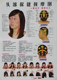 China Acupressure Quick Study Academic Outline Head And