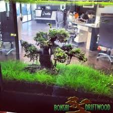 Mirip seperti batu akik warnanya, tetapi tidak begitu terang. 11 Aquarium Stones Ideas Aquarium Aquascape Aquarium Rocks