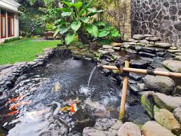 Kolam menjadi dekorasi dalam rumah yang menambah nilai keindahan. 60 Inspirasi Desain Kolam Ikan Minimalis Yang Artistik Rumahpedia