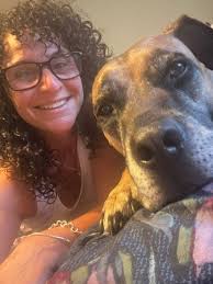 South African Boerboel with separation anxiety