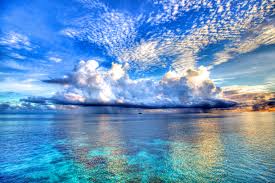 Check spelling or type a new query. Sky Blue Beautiful Ocean Novocom Top