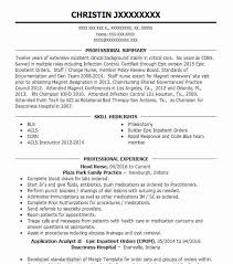 head nurse resume example nursing