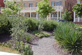 A Nice Native Texas Pathway That Leads To A Beautiful Park In Southlake Town Square Commercial Landscape Design Landscape Design Ornamental Grass Landscape