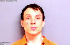 Brothers charged with assaulting an officer