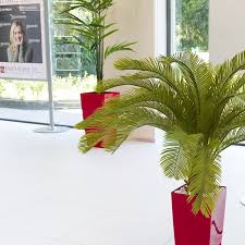 Piante da giardino, piante da balcone o terrazzo. Piante Artificiali Sintetiche E Seminaturali A Brescia Dal 1954 Carlo Civera