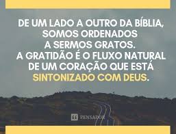 Gratidao 50 Lindas Frases De Agradecimento Mensagem De Gratidao Frase Do Dia Palavras Simples