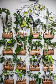 Designer Hilton Carter S Bodacious Baltimore Pad Teems With Over 300 Plants Plants Indoor Plants Bedroom Plants