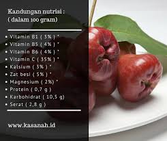 Buah jambu biji ini sangatlah lezat dan pastinya dinikmati anda juga. Apakah Ibu Hamil Boleh Makan Jambu Air Info Seputar Kehamilan