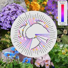 Check spelling or type a new query. Darwin Review Angiosperm Phylogeny And Evolutionary Radiations Proceedings Of The Royal Society B Biological Sciences