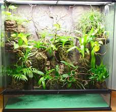 Pin On Reptile Amphibious Terrarium