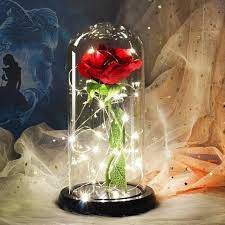 The Enchanted Rose In 2021 Rose In A Glass Flower Lamp Beauty And Beast Rose