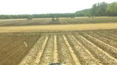 Tobacco ridges with planting holes marked out. 110 Tobacco Here On The Farm Ideas Farm Tobacco Tractors