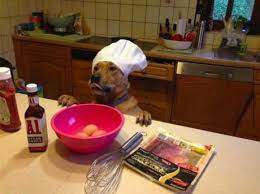 At purina, our dog and cat food & treats are made for your pet's unique needs and preferences to get the best nutrition. Pet Friendly Kitchen Create One During Covid 19 Kitchen Blog Kitchen Design Style Tips Ideas Kitchen Warehouse Uk