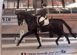Manon clayes is a paralympic equestrian of belgium. Para Equestrian Manon Claeys Zet Prachtige Resultaten Neer Op Cdepi Paardensport Vlaanderen