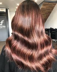 The shade is somehow great on folks with brown eyes and golden. Rose Brown Is The Easy Spring Hair Color Trend For Brunettes Allure