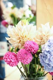 Check spelling or type a new query. How To Instagram Like A Pro The Smell Of Roses The Smell Of Roses
