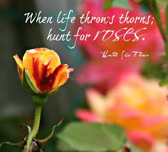 Use them in commercial designs under lifetime, perpetual & worldwide rights. 23 Rose Quotes Life Quotes Humor Rose Quotes Beautiful Flower Quotes Flower Quotes Life