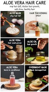 Best Aloe Vera Hair Recipes Stop Hair Fall And Faster Hair Growth The Little Shine Aloe Vera For Hair Hair Food Hair Growth Faster