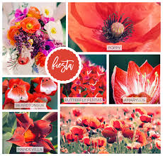 April showers bring may flowers and enjoy our spring coloring pages. 42 Spring Flowers Inspired By Pantone Colors Of The Year
