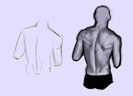 Drawing female body body reference drawing anatomy reference. How To Draw The Human Back A Step By Step Construction Guide Gvaat S Workshop