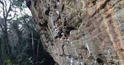 Nowra, Rock climbing | theCrag