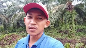 Tampaknya sebentar lagi baluran akan hujan. Lagi Viral Monyet Pake Jas Hujan Youtube