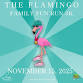The Flamingo Family Fun Run 3k event image