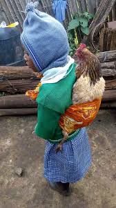 Sati Burunucu On Twitter Beautiful Children Kids Around The World Animals For Kids